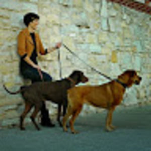 Meet your Posher, Wendy